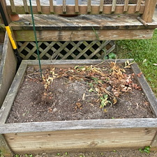 Backyard-Oasis-Secured-Reliable-Water-Line-Installation-in-Galveston-TX 0